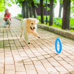 Купить PitchDog 30 - Игровое кольцо для аппортировки собак d 28 голубое PitchDog в Калиниграде с доставкой (фото 3)