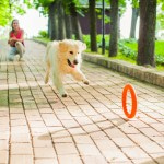 Купить PitchDog 30 - Игровое кольцо для аппортировки собак d 28 оранжевое PitchDog в Калиниграде с доставкой (фото 4)