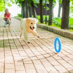 Купить PitchDog 20 - Игровое кольцо для аппортировки собак d 20 голубое PitchDog в Калиниграде с доставкой (фото 4)
