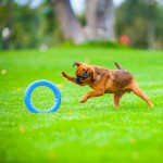 Купить PitchDog 20 - Игровое кольцо для аппортировки собак d 20 голубое PitchDog в Калиниграде с доставкой (фото 3)