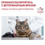 Купить Royal Canin  Mature Consult диета для кошек старше 7 лет, без видимых признаков старения 10 кг Royal Canin в Калиниграде с доставкой (фото 8)