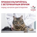 Купить Royal Canin Dental DSO 29 Feline диета для кошек с чувствительностью ротовой полости 1,5 кг Royal Canin в Калиниграде с доставкой (фото 4)