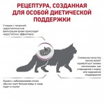 Купить Royal Canin Renal RF 23 Feline диета для взрослых кошек для поддержания функции почек при острой или хронической почечной недостаточности 400 гр Royal Canin в Калиниграде с доставкой (фото 5)