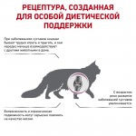 Сухой диетический корм Royal Canin Mobility Feline для взрослых кошек при заболеваниях опорно-двигательного аппарата 400 гр