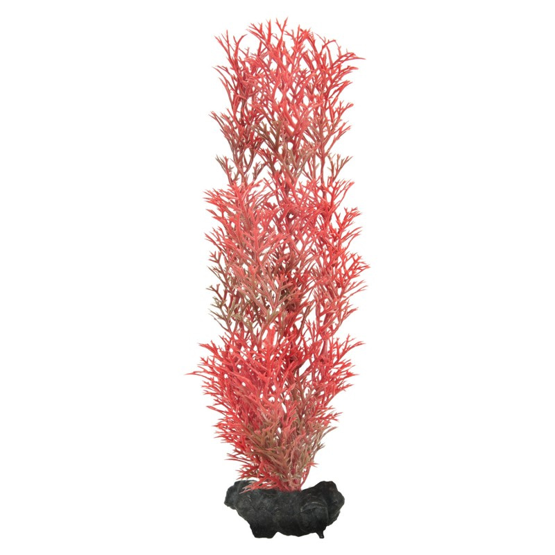 Tetra DecoArt Plantastics Red Foxtail искусственное растение Перистолистник M (23 см)