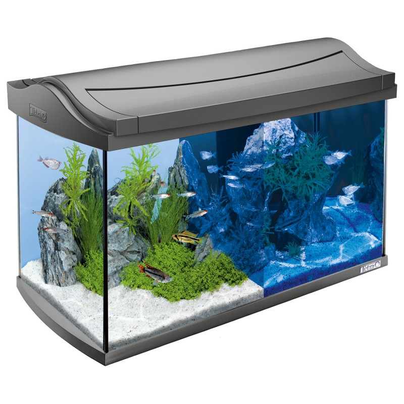 Tetra AquaArt LED Discover Line аквариумный комплекс 60 л