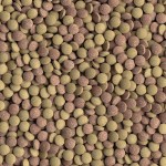 TetraTabletsTabiMin корм для всех видов донных рыб 120 таб. TetraTabletsTabiMin корм для всех видов донных рыб 120 таб.