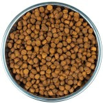 Сухой Беззерновой корм Wellness CORE KITTEN Salmon & Turkey Grain free из индейки  для котят 300 г