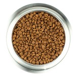 Беззерновой корм со сниженным содержанием жира Wellness CORE Adult LOW FAT Small Breed Grain free Turkey из индейки с курицей для взрослых собак мелких пород 5 кг