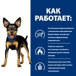 Сухой корм Hill's Prescription Diet Metabolic Weight Management для собак малых и декоративных пород для коррекции веса со вкусом курицы и индейки 1,5 кг Сухой корм Hill's Prescription Diet Metabolic Weight Management для собак малых и декоративных пород для коррекции веса со вкусом курицы и индейки 1,5 кг