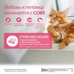 Купить Беззерновой корм Wellness CORE из лосося для стерилизованных кошек 300 г Wellness Core в Калиниграде с доставкой (фото 1)