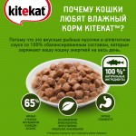 Купить Консервы для кошек KiteKat рыба в соусе 85г Kitekat в Калиниграде с доставкой (фото 9)