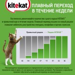 Купить Консервы для кошек KiteKat рыба в соусе 85г Kitekat в Калиниграде с доставкой (фото 4)
