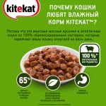 Купить Консервы для кошек KiteKat рагу с ягненком в соусе 85г Kitekat в Калиниграде с доставкой (фото 7)