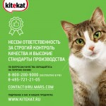 Купить Консервы для кошек KiteKat рыба в соусе 85г Kitekat в Калиниграде с доставкой (фото 13)