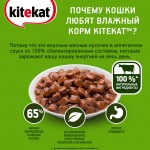 Купить Консервы для кошек KiteKat говядина в соусе 85г Kitekat в Калиниграде с доставкой (фото 3)