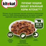 Купить Консервы для кошек KiteKat говядина в желе 85г Kitekat в Калиниграде с доставкой (фото 6)