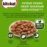 Купить Консервы для кошек KiteKat кролик в соусе 85г Kitekat в Калиниграде с доставкой (фото 3)