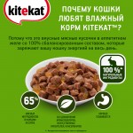 Купить Консервы для кошек KiteKat кролик в желе 85г Kitekat в Калиниграде с доставкой (фото 5)