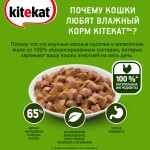 Купить Консервы для кошек KiteKat курица в желе 85г Kitekat в Калиниграде с доставкой (фото 6)