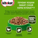 Купить Корм сухой для кошек KiteKat аппетитная курочка 800г Kitekat в Калиниграде с доставкой (фото 3)
