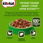 Купить Корм сухой для кошек KiteKat Мясной пир 1.9кг Kitekat в Калиниграде с доставкой (фото 3)