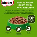 Купить Корм сухой для кошек KiteKat аппетитная телятинка 800г Kitekat в Калиниграде с доставкой (фото 4)