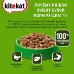 Купить Корм сухой для кошек KiteKat Улов рыбака 15 кг Kitekat в Калиниграде с доставкой (фото 7)