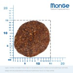 Сухой корм с низким содержанием злаков Monge BWild Dog Low Grain Goose из мяса гуся для взрослых собак всех пород 12 кг