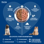 Монопротеиновые беззерновые безглютеновые консервы для собак Monge Monoprotein Dog All Breeds Solo Tonno Only Tuna, Паштет из тунца 150 гр