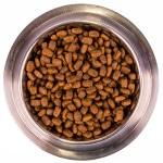 Сухой корм супер-премиум класса с курицей MONGE SUPERPREMIUM DOG Daily Line Adult Dog Mini Rich in Chicken для взрослых собак мелких пород 7,5 кг