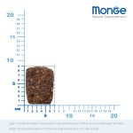 Сухой монобелковый корм MONGE SPECIALITY LINE MINI ADULT SALMONE AND RICE с лососем и рисом для взрослых собак мелких пород 7,5 кг Сухой монобелковый корм MONGE SPECIALITY LINE MINI ADULT SALMONE AND RICE с лососем и рисом для взрослых собак мелких пород 7,5 кг