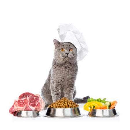 Сухие и влажные корма (консервы) для кошек