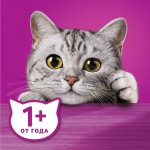 Купить Whiskas для стерилизованных кошек и котов с курицей и вкусными подушечками 1,9 кг Whiskas в Калиниграде с доставкой (фото 10)
