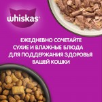 Купить WHISKAS для кошек Вкусные подушечки с нежным паштетом, с говядиной, 5 кг Whiskas в Калиниграде с доставкой (фото 1)