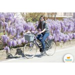 Контейнер Ferplast ATLAS BIKE 20 RAPID для перевозки кошек и собак мелкого размера на велосипеде, 47×35,5×34,5 см