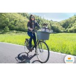 Контейнер Ferplast ATLAS BIKE 20 RAPID для перевозки кошек и собак мелкого размера на велосипеде, 47×35,5×34,5 см