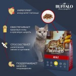 Сухой корм Mr. Buffalo ADULT для взрослых кошек с курицей 400 гр