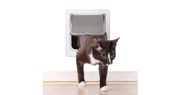 👍 Купить дверцу для кошки в дверь в Калининграде 🐈 Интернет-зоомагазин ...