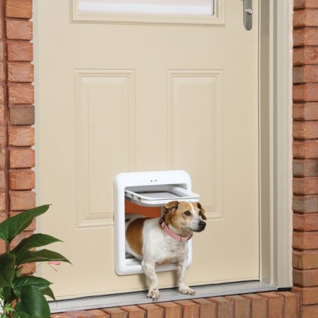 Дверцы для собак в дверь