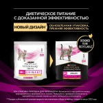 Купить Purina Pro Plan Veterinary diets UR для кошек при болезнях мочевыводящих путей c курицей, 350 г Pro Plan Veterinary Diets в Калиниграде с доставкой (фото 1)