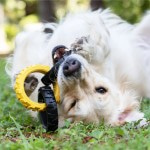 Купить Игрушка для собак Tonka Кольца гибкие тройные размер 26,7 см Tonka в Калиниграде с доставкой (фото 2)