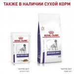 Влажный диетический корм ROYAL CANIN NEUTERED ADULT для взрослых стерилизованных собак (в соусе) 100 гр Влажный диетический корм ROYAL CANIN NEUTERED ADULT для взрослых стерилизованных собак (в соусе) 100 гр