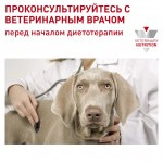 Влажный диетический корм ROYAL CANIN NEUTERED ADULT для взрослых стерилизованных собак (в соусе) 100 гр Влажный диетический корм ROYAL CANIN NEUTERED ADULT для взрослых стерилизованных собак (в соусе) 100 гр