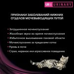 Купить Консервы Purina Pro Plan Veterinary diets UR, для кошек при МКБ, лосось, 85 г Pro Plan Veterinary Diets в Калиниграде с доставкой (фото 24)