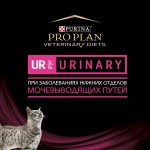 Купить Консервы Purina Pro Plan Veterinary diets UR, для кошек при МКБ, лосось, 85 г Pro Plan Veterinary Diets в Калиниграде с доставкой (фото 22)
