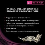 Купить Pro Plan Veterinary Diets UR для кошек при болезнях мочевыводящих путей, индейка, 195 г Pro Plan Veterinary Diets в Калиниграде с доставкой (фото 5)