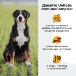 Купить Unitabs Иммуно Комплекс с Q10 для крупных собак 100 таблеток Unitabs в Калиниграде с доставкой (фото 2)