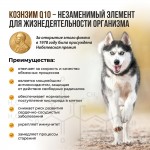 Купить Unitabs Иммуно Комплекс с Q10 для крупных собак 100 таблеток Unitabs в Калиниграде с доставкой (фото 5)