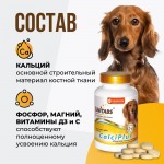 Купить Unitabs Кальций Плюс с Q10 для собак 100 таблеток Unitabs в Калиниграде с доставкой (фото 4)